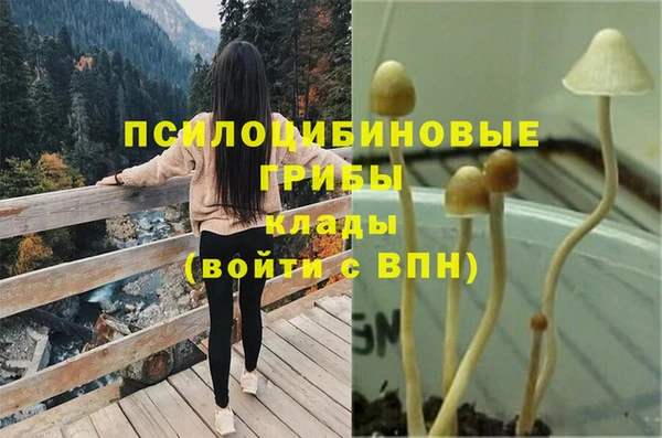 дживик Арсеньев
