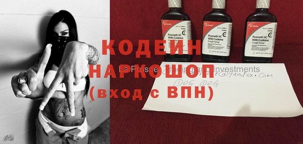 дживик Арсеньев