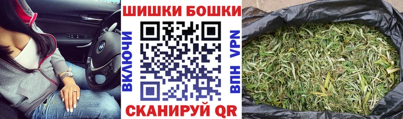 Шишки марихуана семена где продают Сосновка